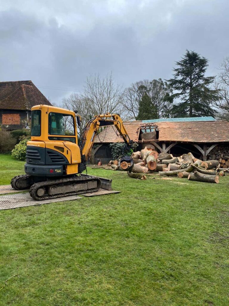 This is a photo of a tree which has grown through the roof of a barn that is being cut down and removed. There is a digger that is removing sections of the tree as well. Ravenshead Tree Surgeons