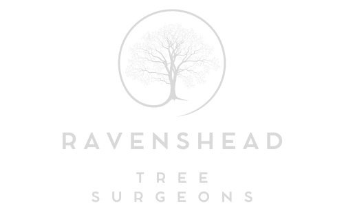 Ravenshead Tree Surgeons